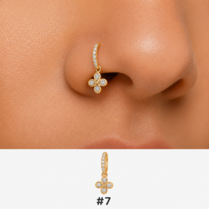 piercing Nez rainbow